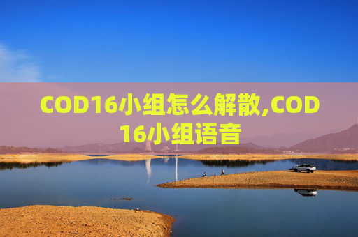 COD16小组怎么解散,COD16小组语音