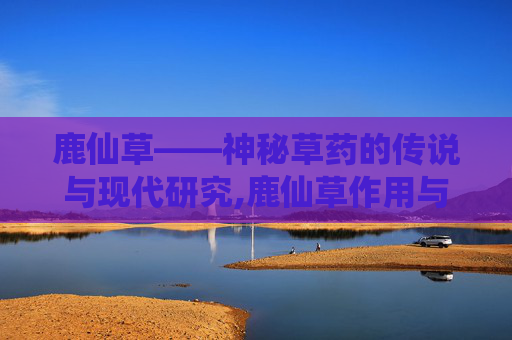 鹿仙草——神秘草药的传说与现代研究,鹿仙草作用与功效
