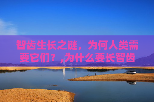 智齿生长之谜，为何人类需要它们？,为什么要长智齿?