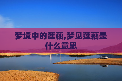 梦境中的莲藕,梦见莲藕是什么意思