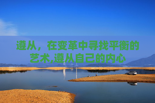 遵从，在变革中寻找平衡的艺术,遵从自己的内心