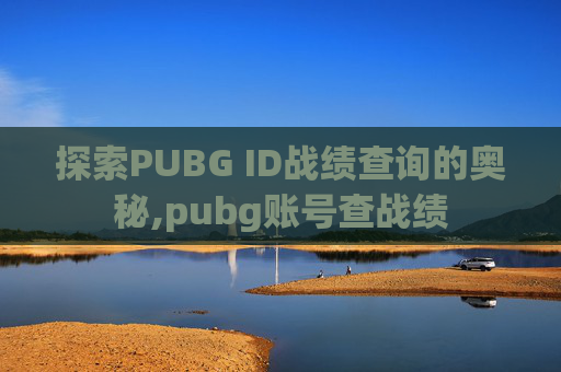 探索PUBG ID战绩查询的奥秘,pubg账号查战绩