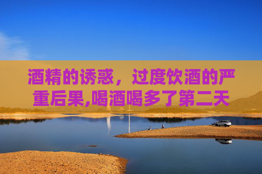 酒精的诱惑，过度饮酒的严重后果,喝酒喝多了第二天恶心想吐怎么办