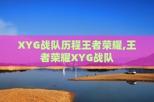 XYG战队历程王者荣耀,王者荣耀XYG战队