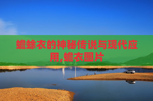 蟾蜍衣的神秘传说与现代应用,蟾衣图片
