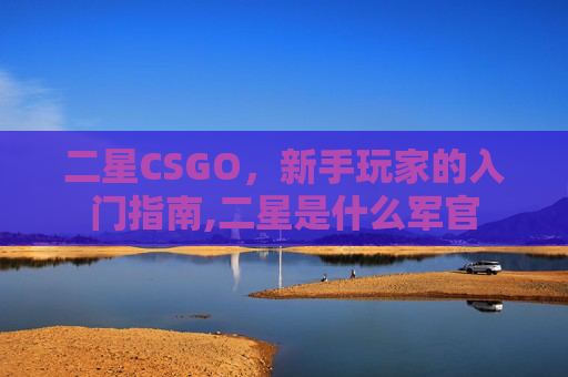 二星CSGO，新手玩家的入门指南,二星是什么军官