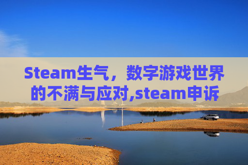 Steam生气，数字游戏世界的不满与应对,steam申诉