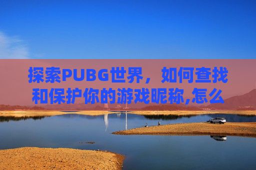 探索PUBG世界，如何查找和保护你的游戏昵称,怎么查PUBG的名字