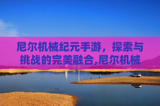 尼尔机械纪元手游，探索与挑战的完美融合,尼尔机械纪元手游停服了吗