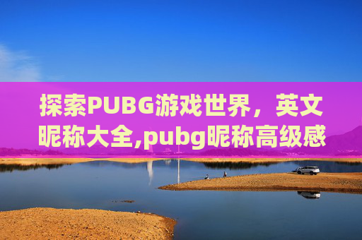 探索PUBG游戏世界，英文昵称大全,pubg昵称高级感英文