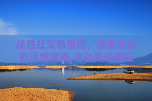 战胜社交恐惧症，探索有效的治疗策略,治社交恐惧症方法视频