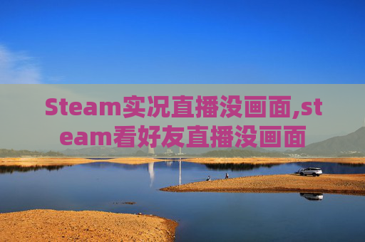 Steam实况直播没画面,steam看好友直播没画面