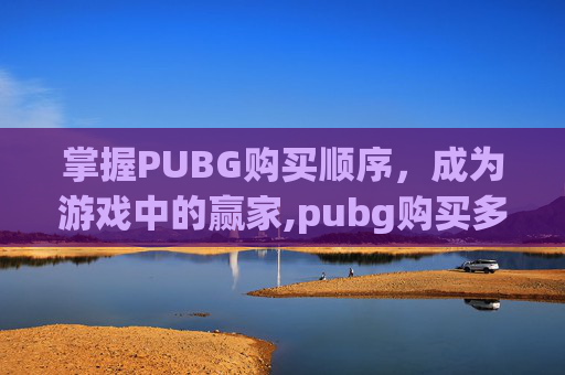 掌握PUBG购买顺序，成为游戏中的赢家,pubg购买多少钱