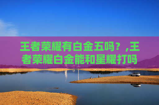 王者荣耀有白金五吗？,王者荣耀白金能和星耀打吗