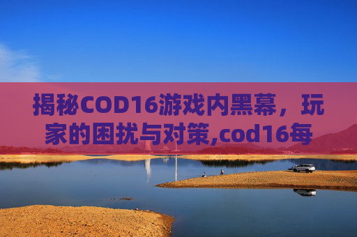 揭秘COD16游戏内黑幕，玩家的困扰与对策,cod16每次进游戏都安装着色器