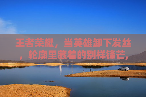 王者荣耀，当英雄卸下发丝，轮廓里藏着的别样锋芒,王者荣耀英雄只有头的照片