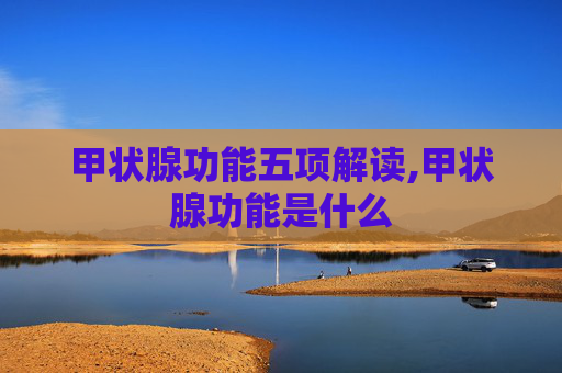 甲状腺功能五项解读,甲状腺功能是什么