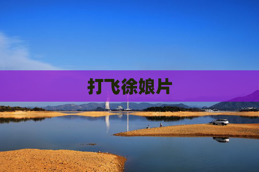 打飞徐娘片