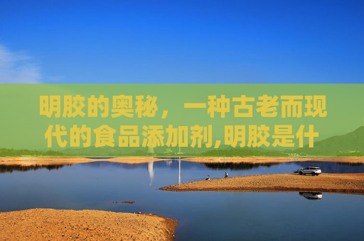 明胶的奥秘，一种古老而现代的食品添加剂,明胶是什么食品添加剂