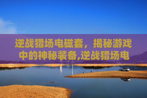 逆战猎场电磁套，揭秘游戏中的神秘装备,逆战猎场电磁套有什么用