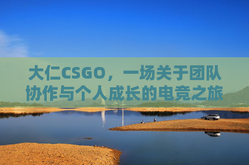 大仁CSGO，一场关于团队协作与个人成长的电竞之旅,大仁不仁