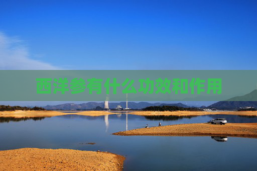 西洋参有什么功效和作用