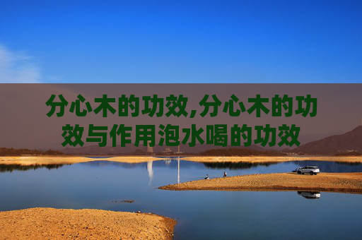 分心木的功效,分心木的功效与作用泡水喝的功效