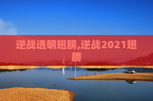 逆战透明翅膀,逆战2021翅膀