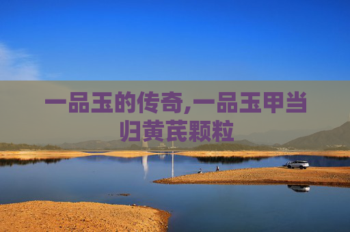 一品玉的传奇,一品玉甲当归黄芪颗粒
