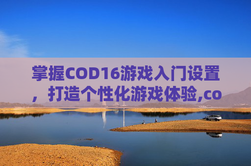 掌握COD16游戏入门设置，打造个性化游戏体验,cod16操作设置