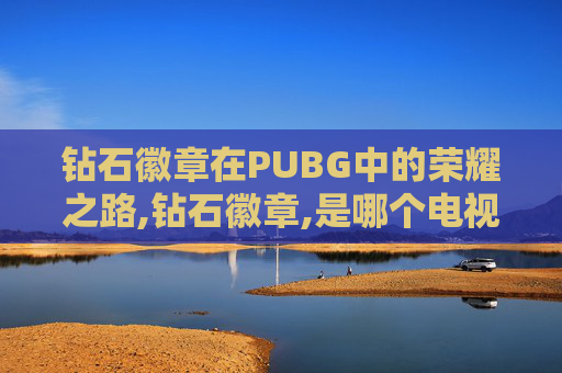 钻石徽章在PUBG中的荣耀之路,钻石徽章,是哪个电视剧里的名字