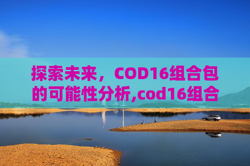 探索未来，COD16组合包的可能性分析,cod16组合包下架就再也买不到吗
