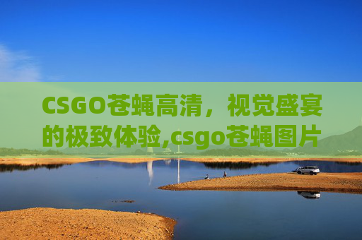 CSGO苍蝇高清，视觉盛宴的极致体验,csgo苍蝇图片
