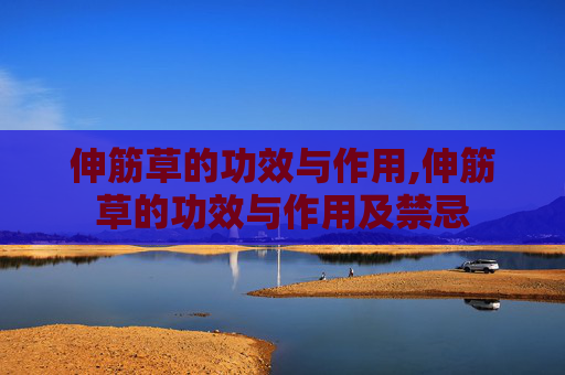 伸筋草的功效与作用,伸筋草的功效与作用及禁忌