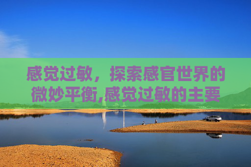 感觉过敏，探索感官世界的微妙平衡,感觉过敏的主要表现