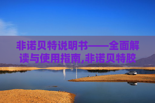 非诺贝特说明书——全面解读与使用指南,非诺贝特胶囊说明书 非诺贝特说明书——全面解读与使用指南,非诺贝特胶囊说明书