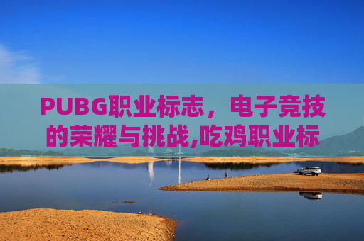 PUBG职业标志，电子竞技的荣耀与挑战,吃鸡职业标志
