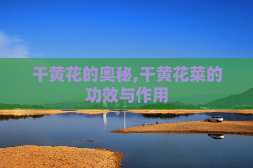 干黄花的奥秘,干黄花菜的功效与作用