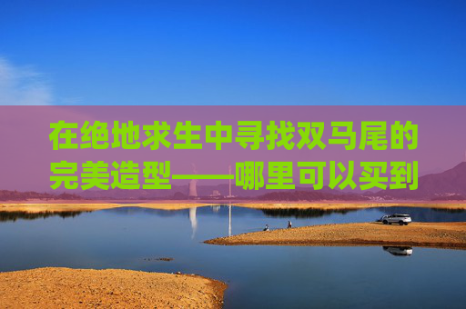 在绝地求生中寻找双马尾的完美造型——哪里可以买到？,pubg双马尾辫怎么获得