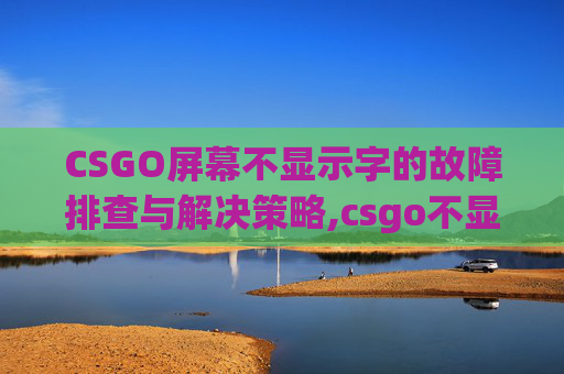 CSGO屏幕不显示字的故障排查与解决策略,csgo不显示字体