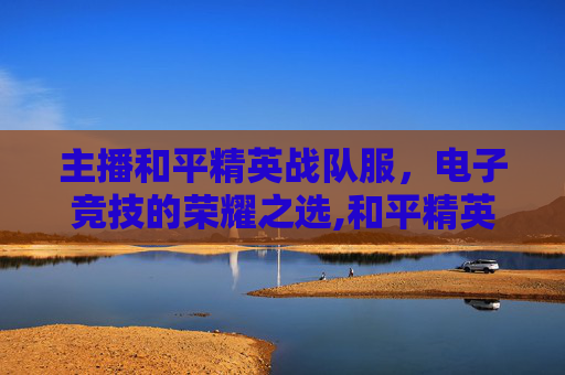 主播和平精英战队服，电子竞技的荣耀之选,和平精英战队服展示