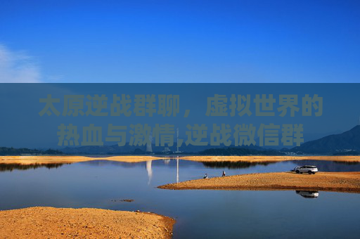 太原逆战群聊，虚拟世界的热血与激情,逆战微信群