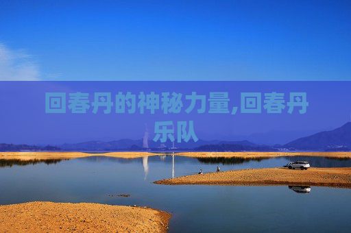 回春丹的神秘力量,回春丹乐队