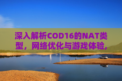 深入解析COD16的NAT类型，网络优化与游戏体验,cod16nat类型公开