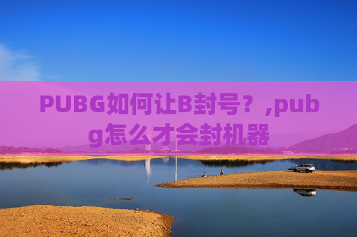 PUBG如何让B封号？,pubg怎么才会封机器