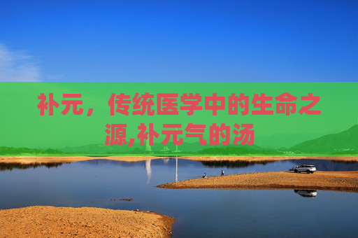 补元，传统医学中的生命之源,补元气的汤