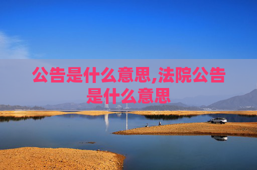 公告是什么意思,法院公告是什么意思