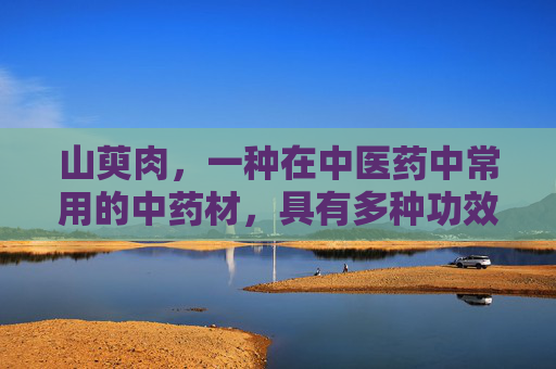 山萸肉，一种在中医药中常用的中药材，具有多种功效与作用。本文将详细介绍山萸肉的功效与作用，帮助您更好地了解和使用这种药材。,山萸肉的功效与作用及食用方法