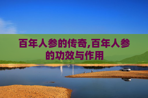百年人参的传奇,百年人参的功效与作用