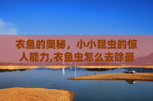 衣鱼的奥秘，小小昆虫的惊人能力,衣鱼虫怎么去除最有效